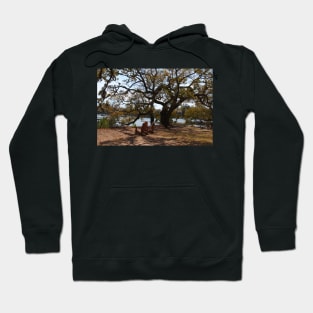 Peace By The Creek Hoodie